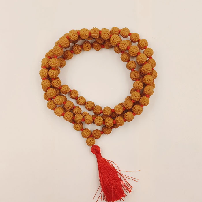 6 Mukhi Rudraksha Mala
